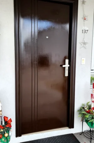 pintuta puerta principal