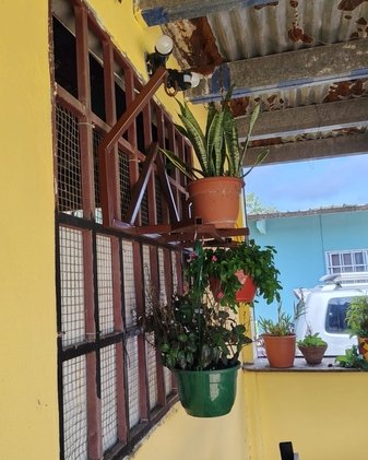 florera por verijas